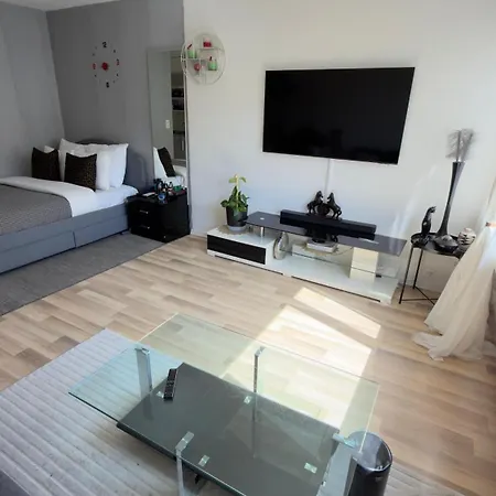 Appartement Bright In Heart Of Zurich